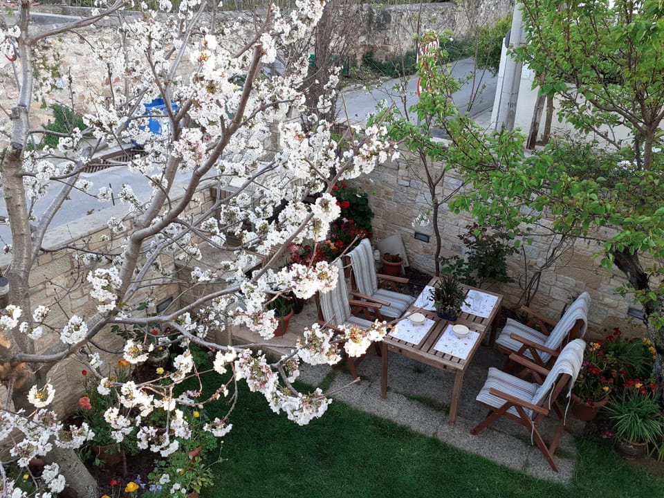 Property building, Spring, Garden, Garden, Balcony/Terrace, Dining area