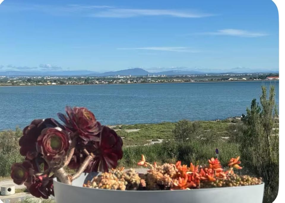 Balcony/Terrace, Landmark view