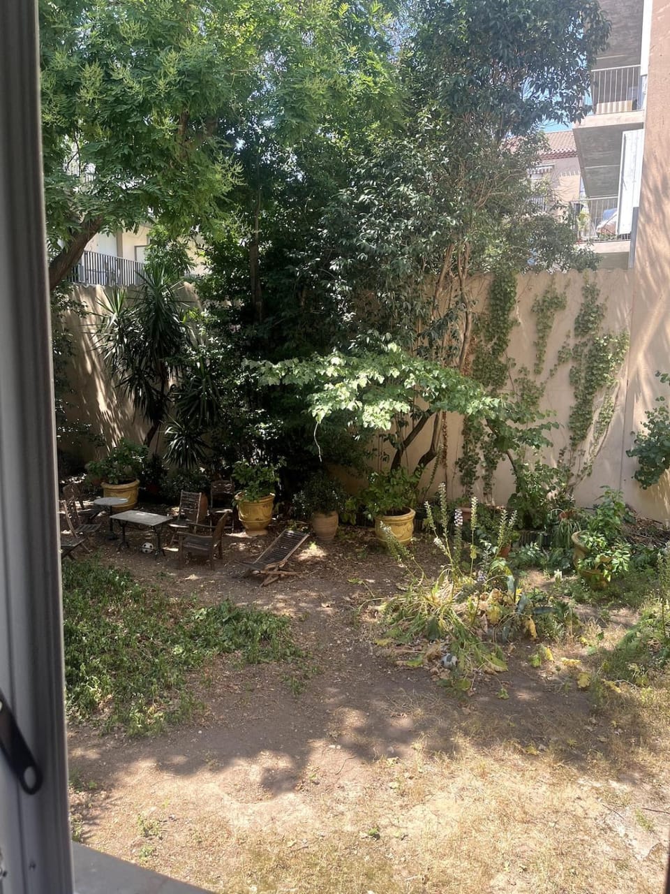 Garden view