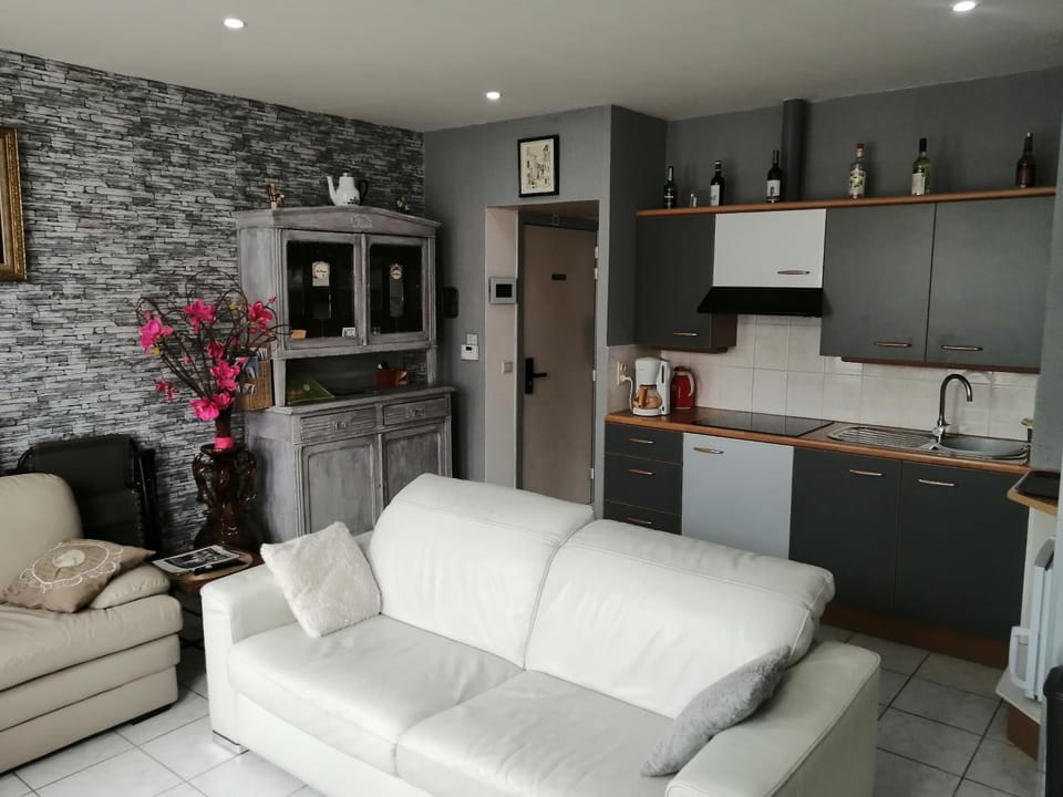 Kitchen or kitchenette, Living room, stove