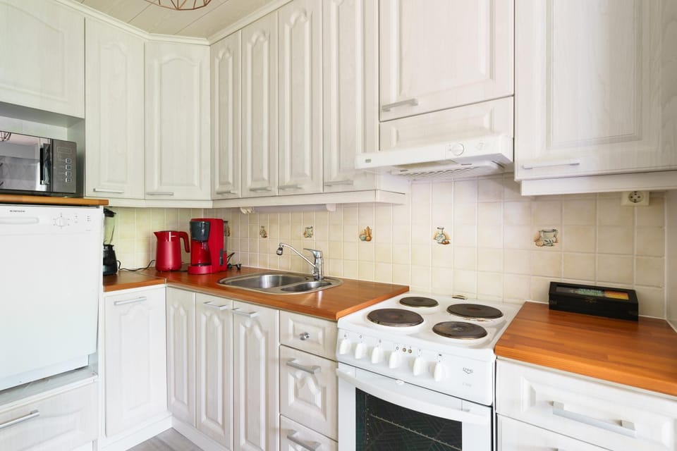 Aurora Night Stay in Rovaniemi House in Rovaniemi