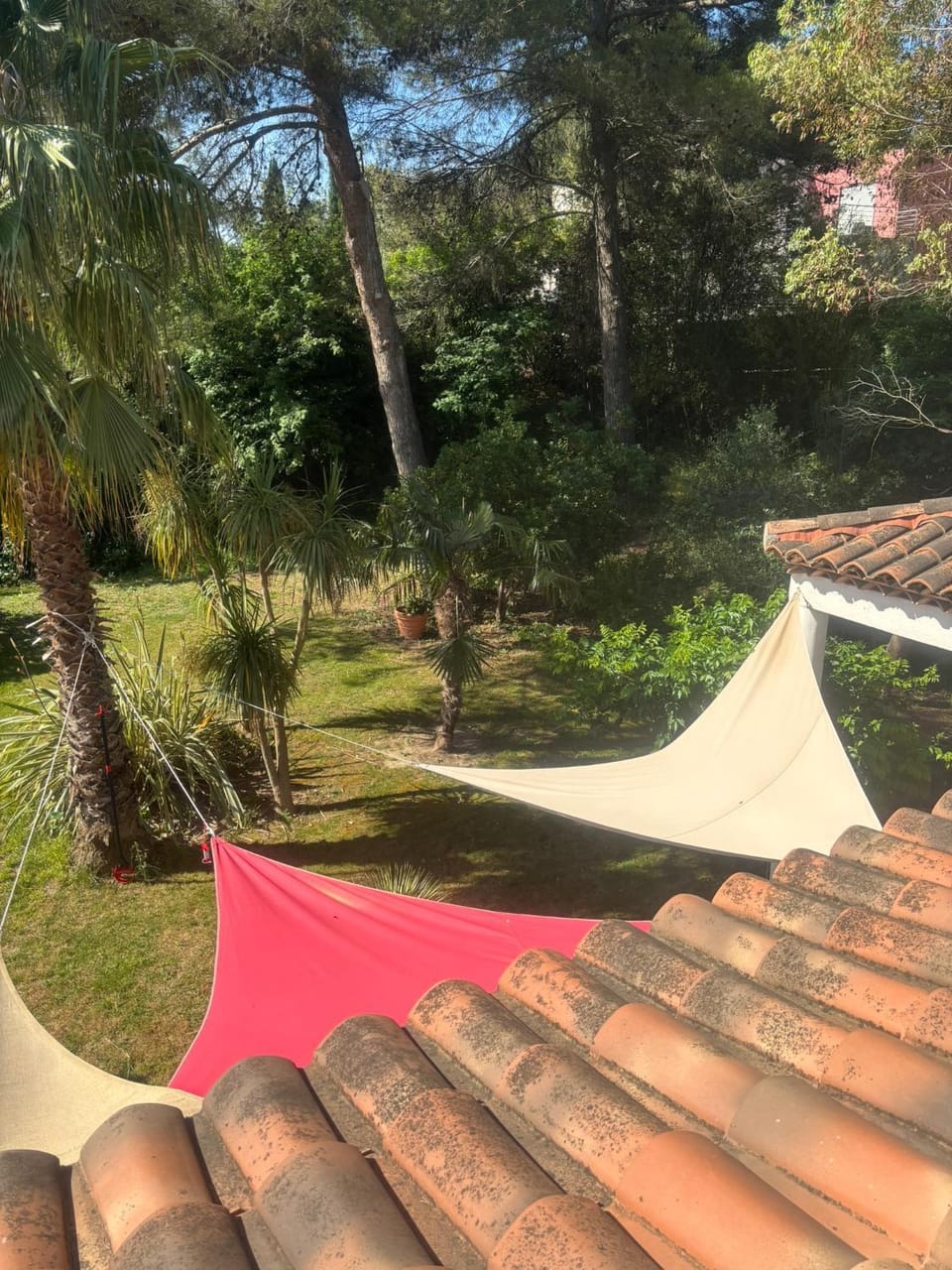 Garden view