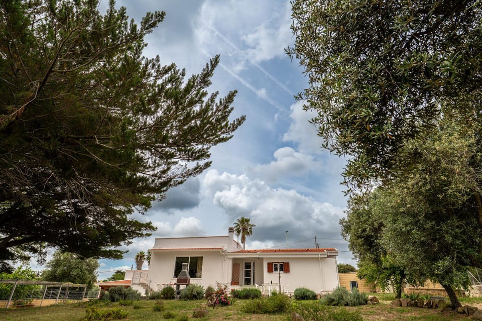 Property building, Spring, Day, Natural landscape, Garden, Garden view