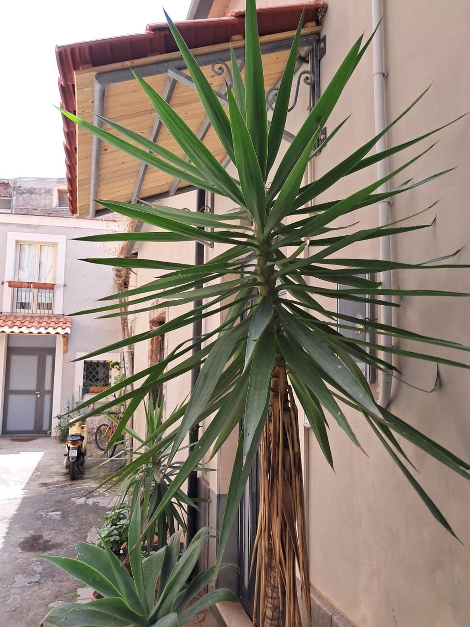 Suite Le Grazie 16 Apartment in Catania