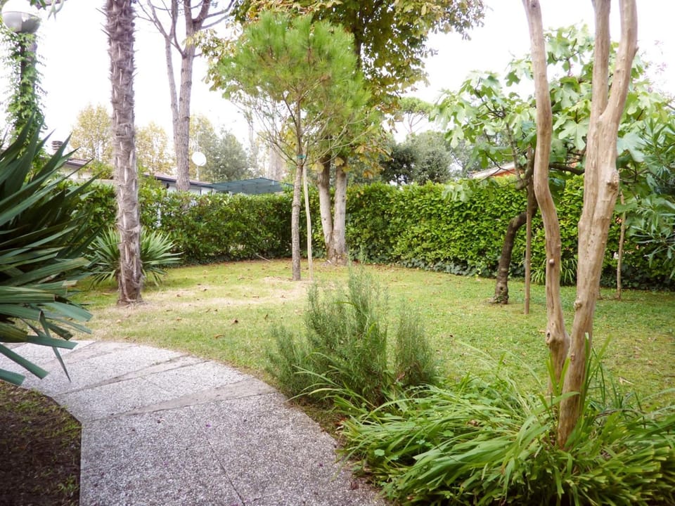 Day, Natural landscape, Garden, Garden view