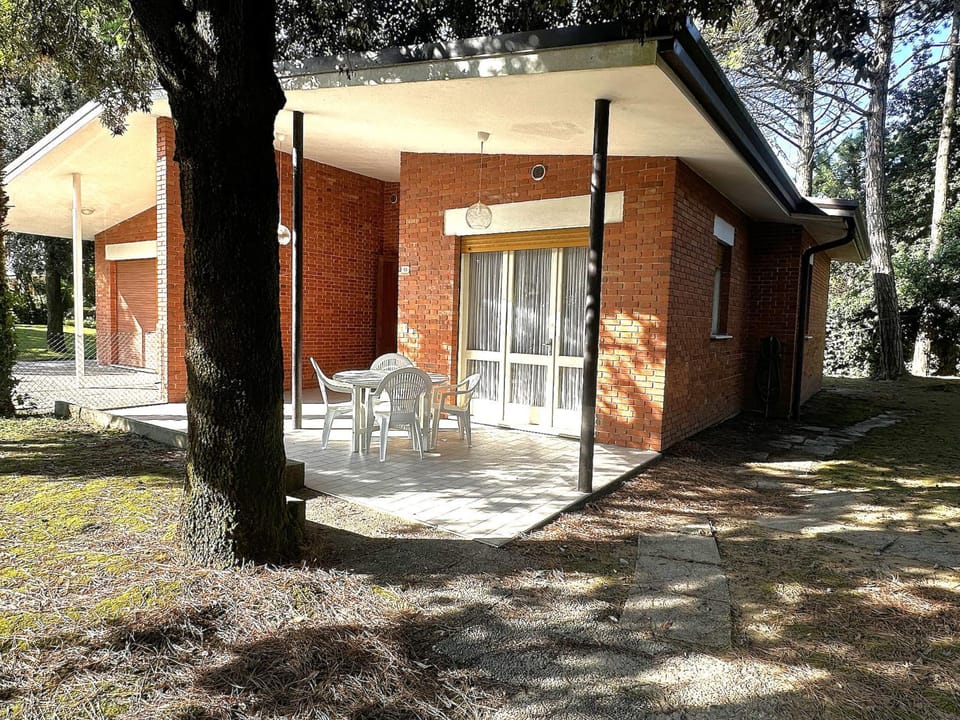 Patio, Garden