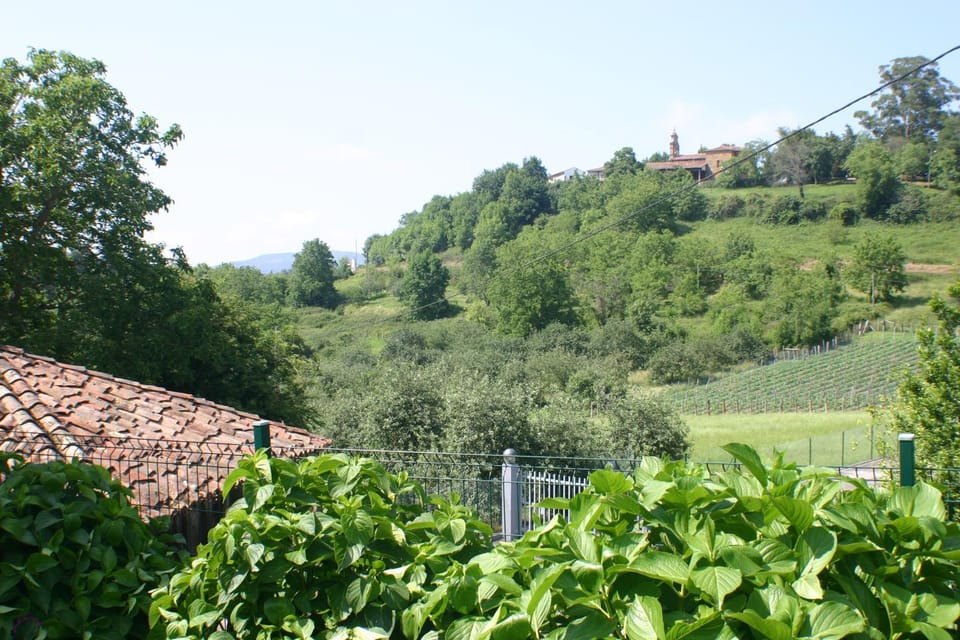 Garden view, Mountain view