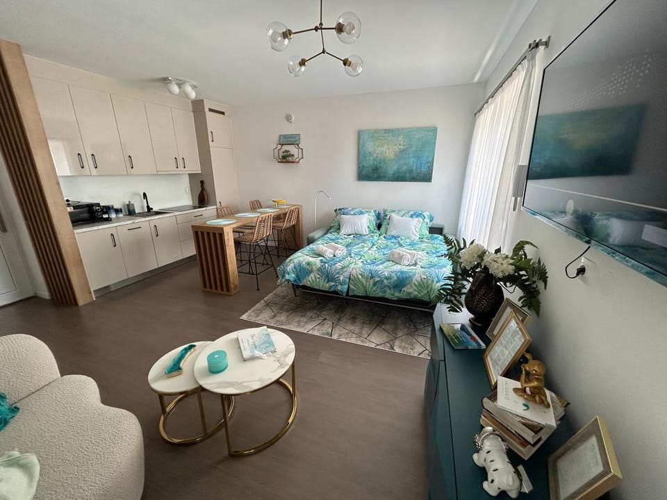 Bed, Kitchen or kitchenette, Living room, Photo of the whole room, Seating area, Dining area