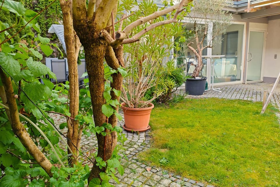Property building, Garden
