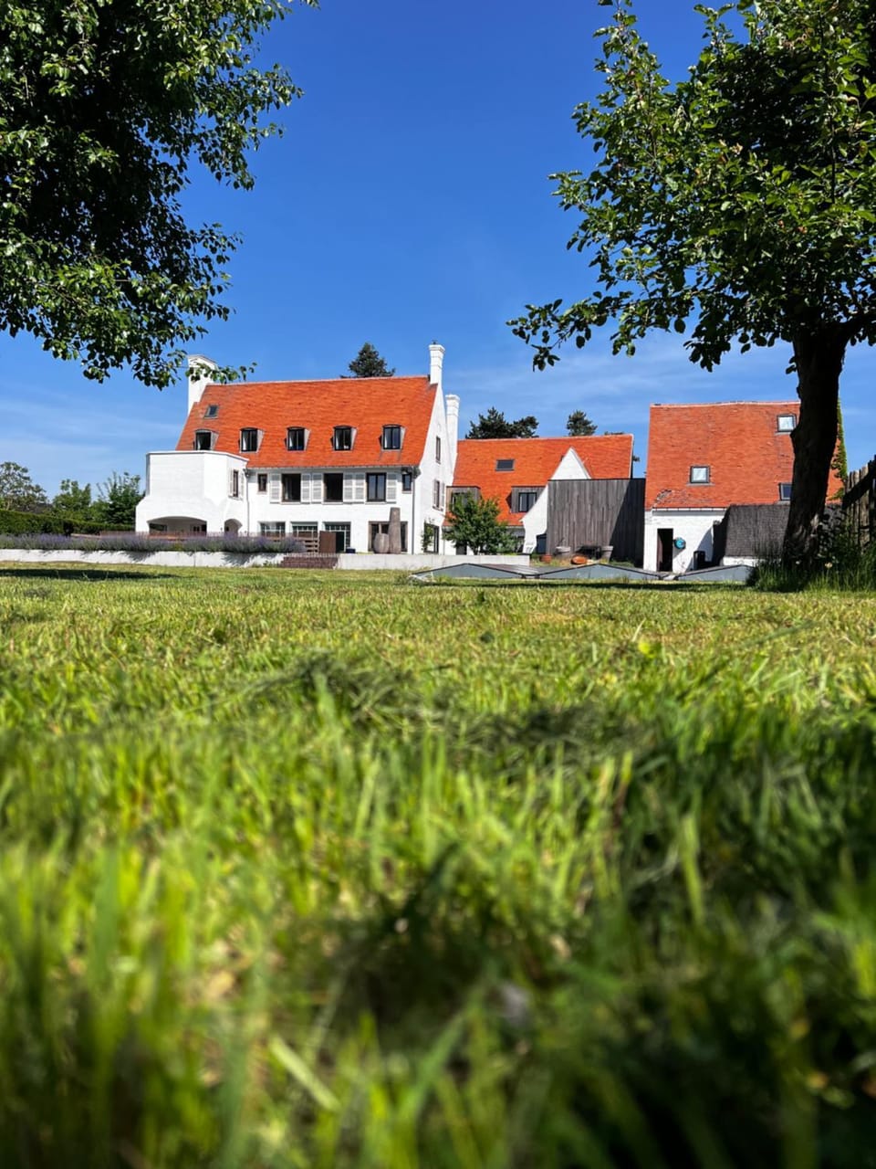 The Cotton Suites B&B Bed and Breakfast in Flanders