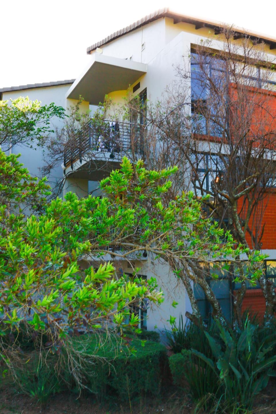Garden view