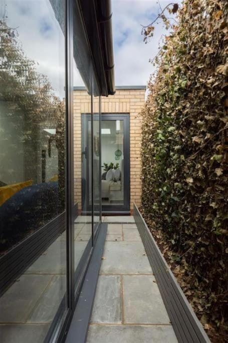 Garden, Balcony/Terrace, Garden view