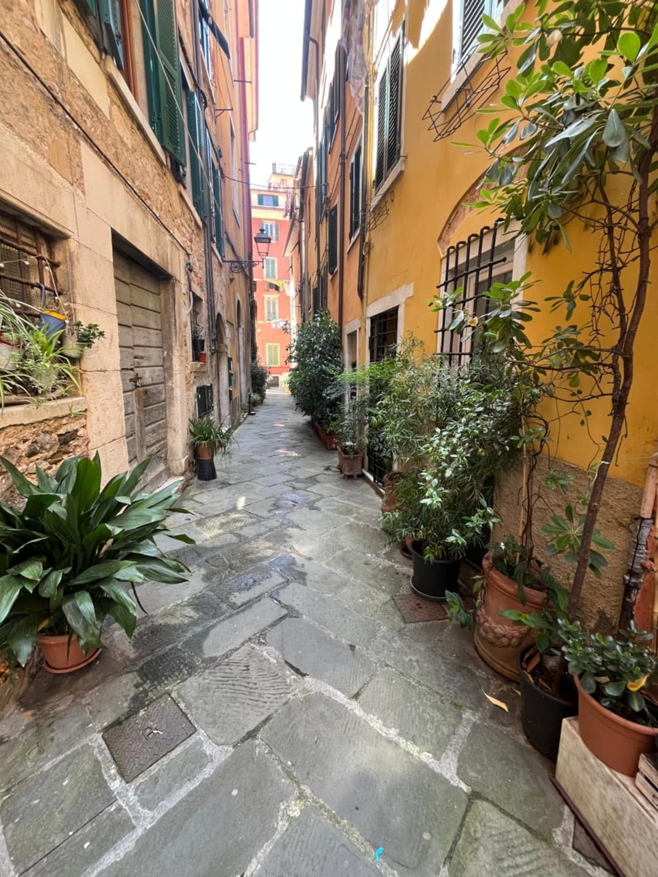 Neighbourhood, Street view