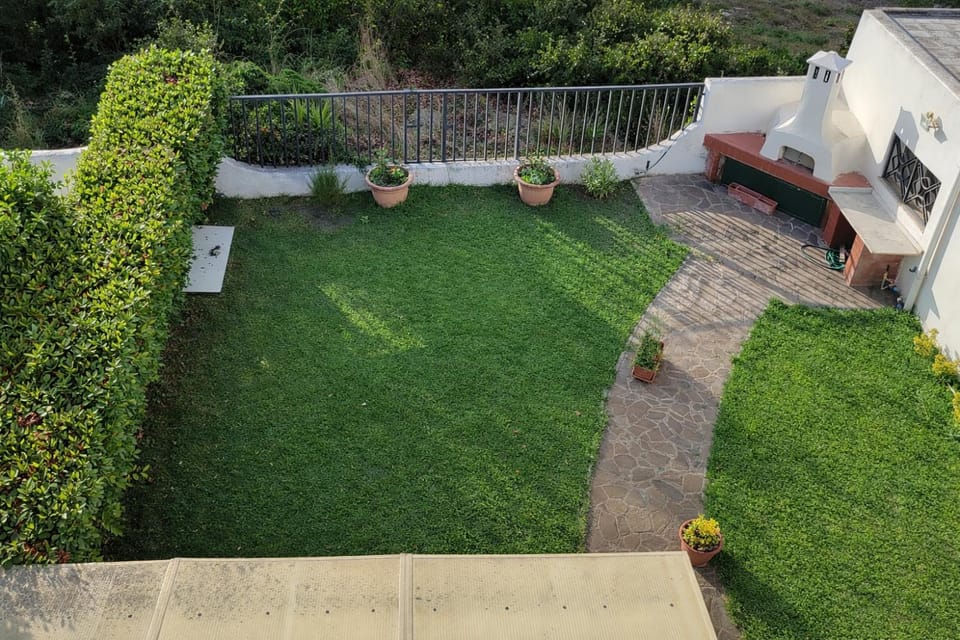 View (from property/room), Garden view, Inner courtyard view