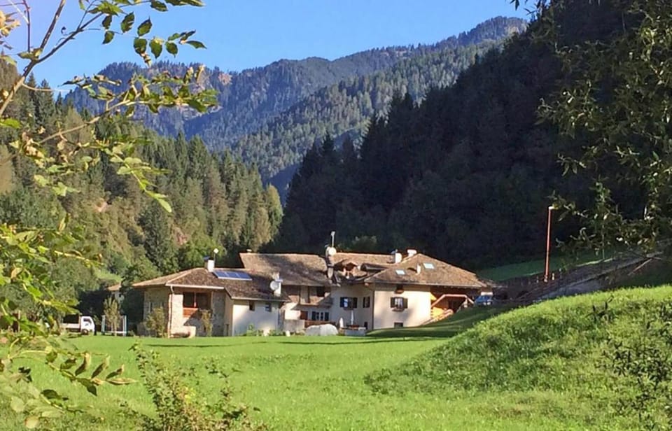 Property building, Garden, Mountain view