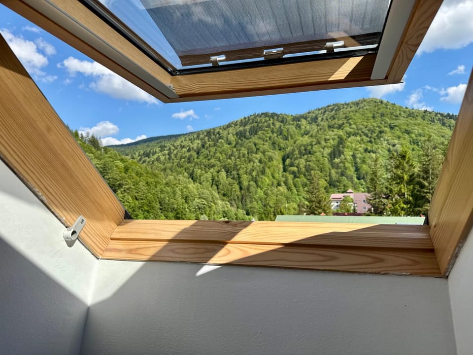 Natural landscape, View (from property/room), Mountain view
