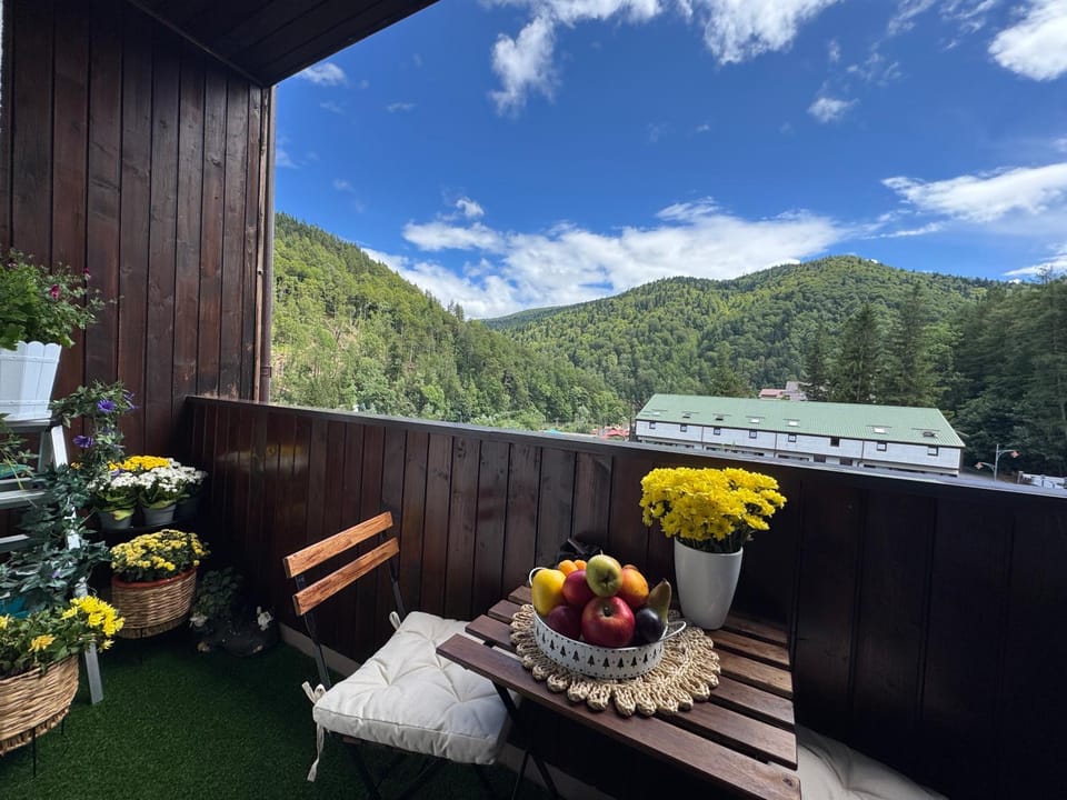 Balcony/Terrace, Balcony/Terrace