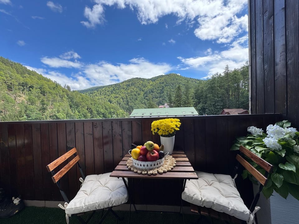 Balcony/Terrace, Balcony/Terrace