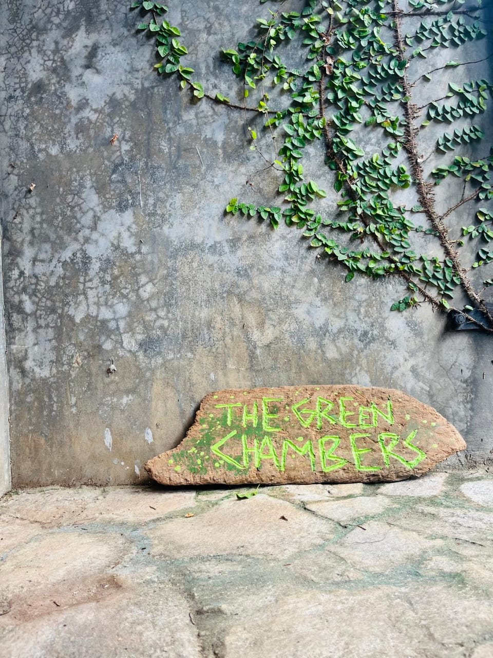 The Green Chambers - Ocean & Jungle View Rooftop Vacation rental in Southern Province