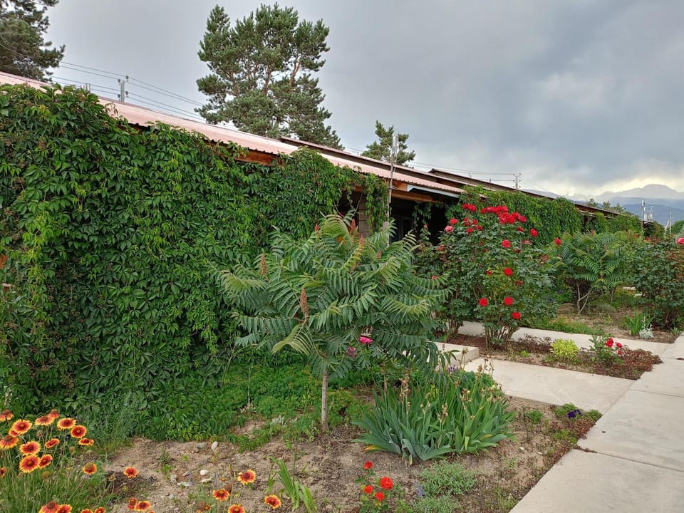 Пансионат Абрикос House in Almaty Region, Kazakhstan