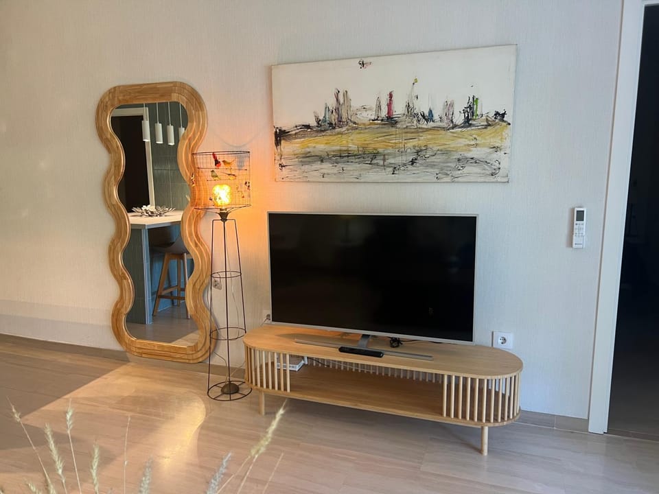 TV and multimedia
