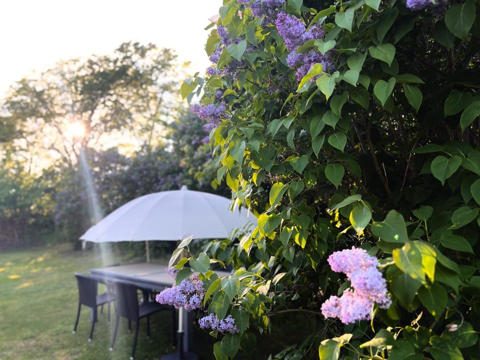 Garden, Garden view