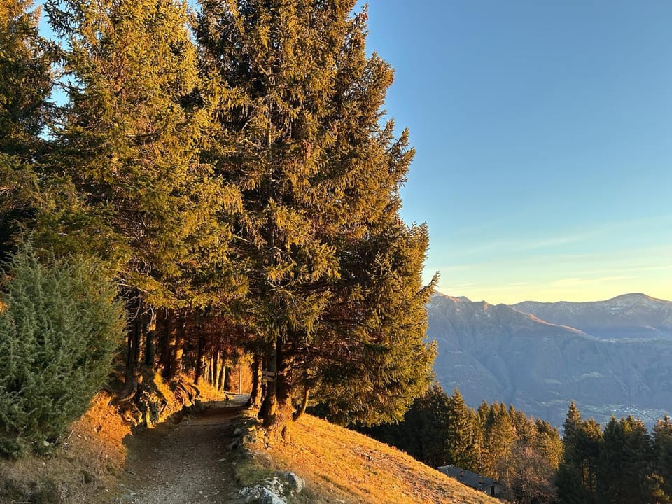 Ca' Negra, Do-Minus Design Retreat & SPA Chalet in Bellinzona