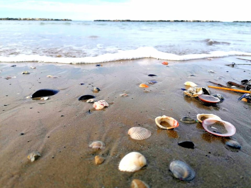 Natural landscape, Beach