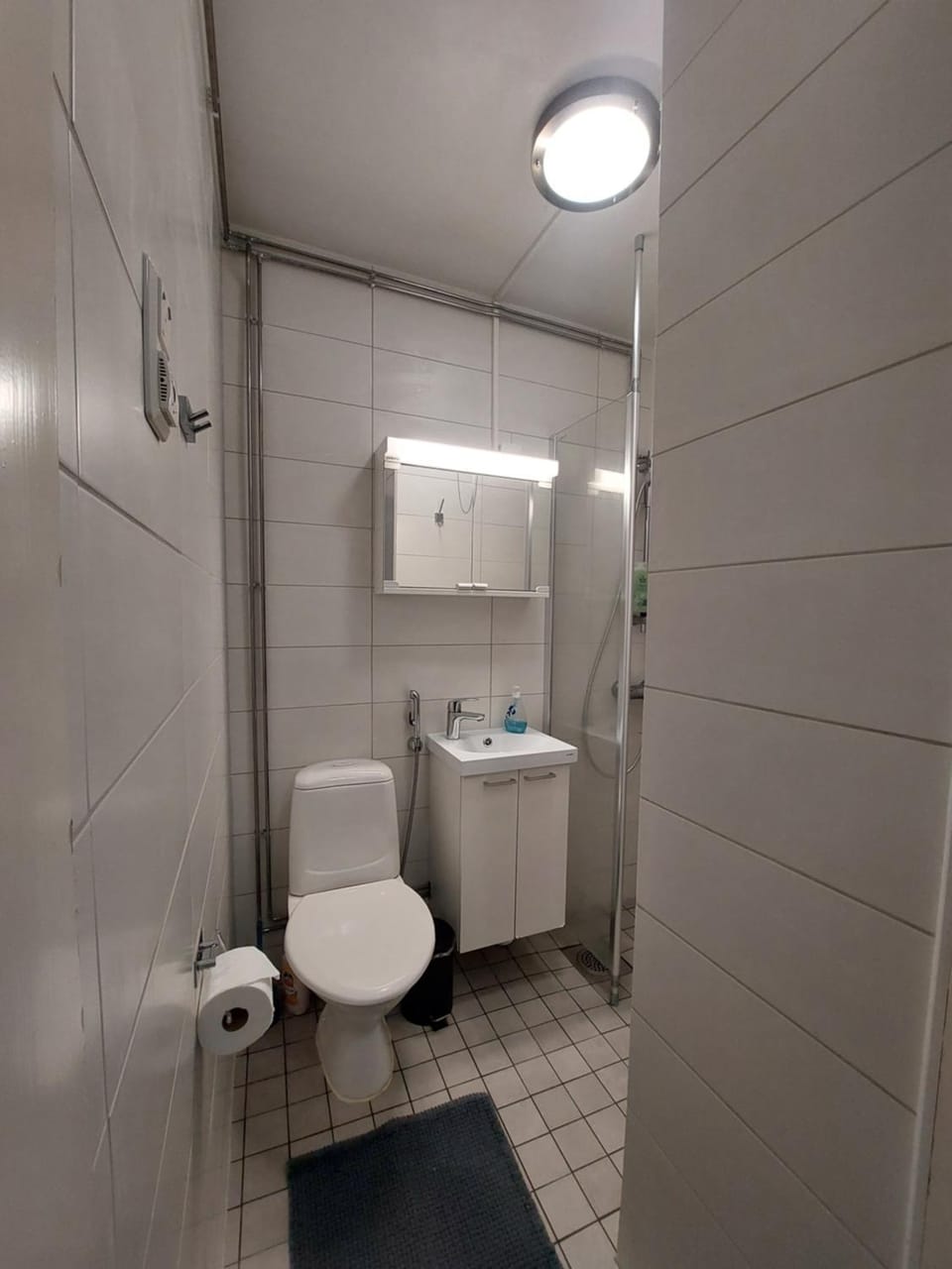 Toilet, Bathroom, bidet