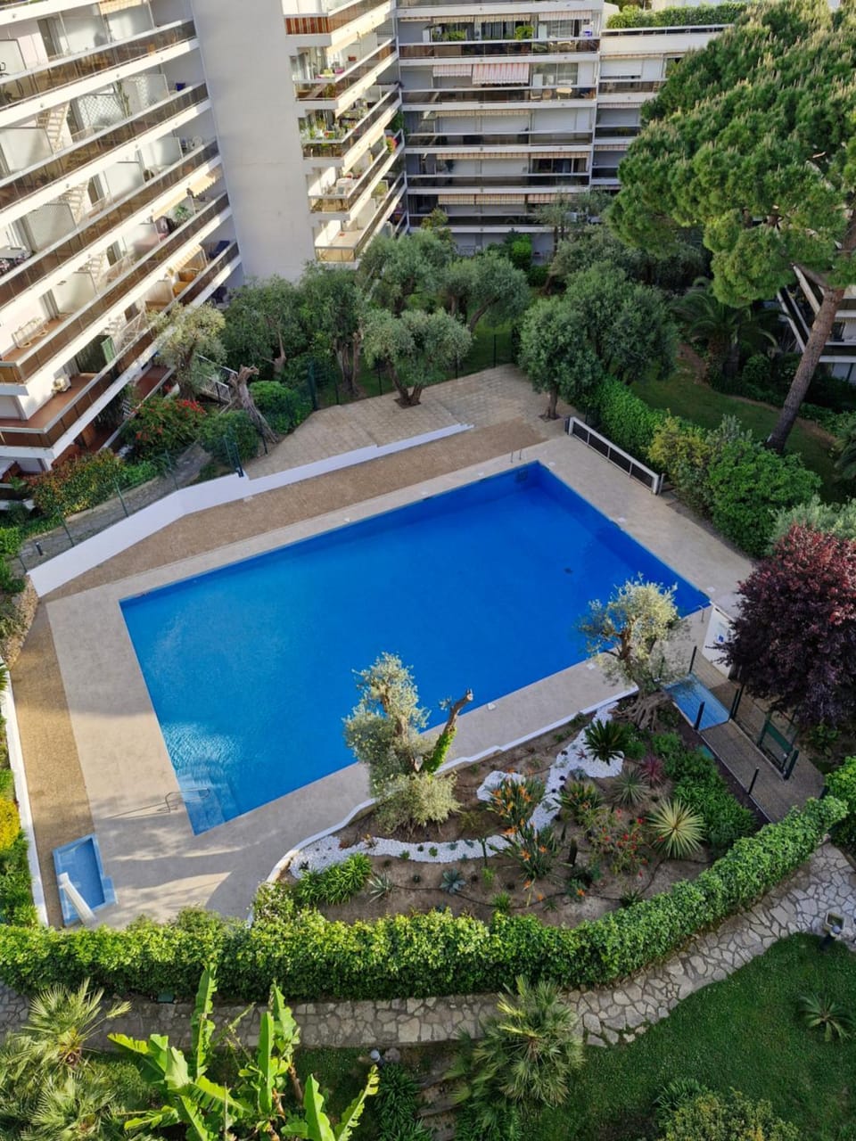 Pool view, Swimming pool