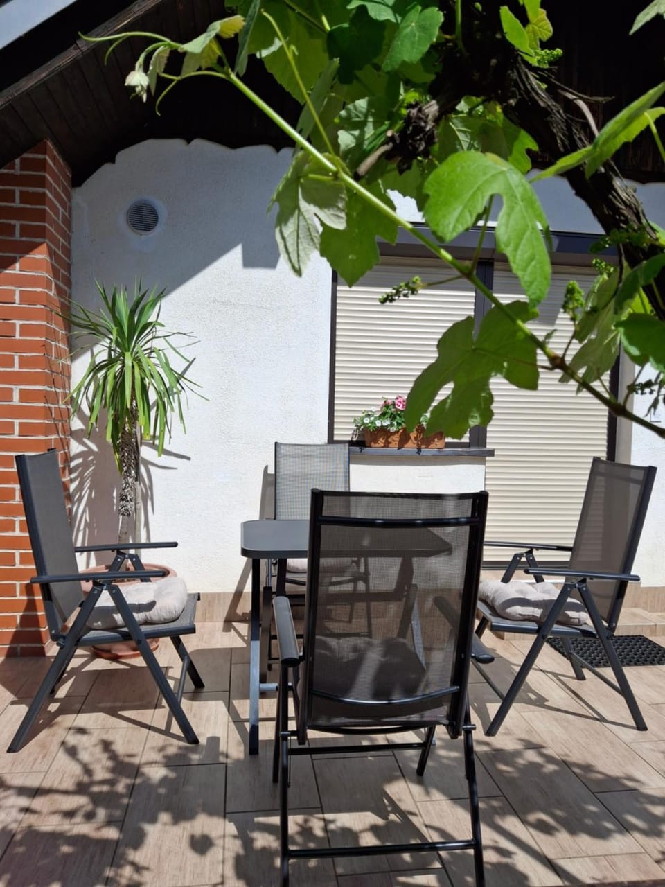 Patio, Dining area