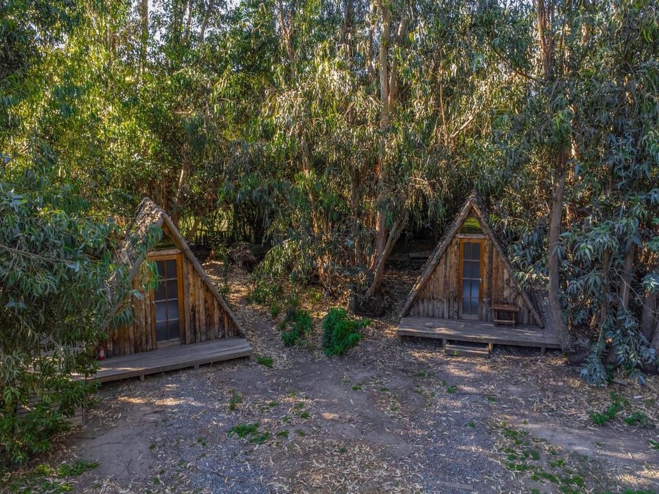 Patio, Natural landscape
