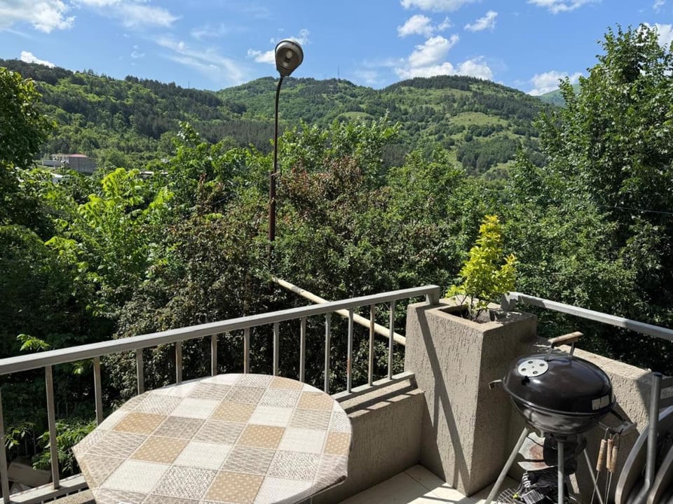 Sweet home 55 in the heart of Dilijan Apartment in Armenia
