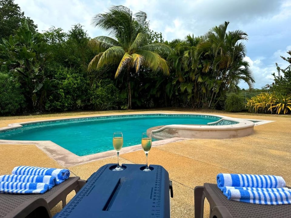 Garden, Swimming pool, sunbed