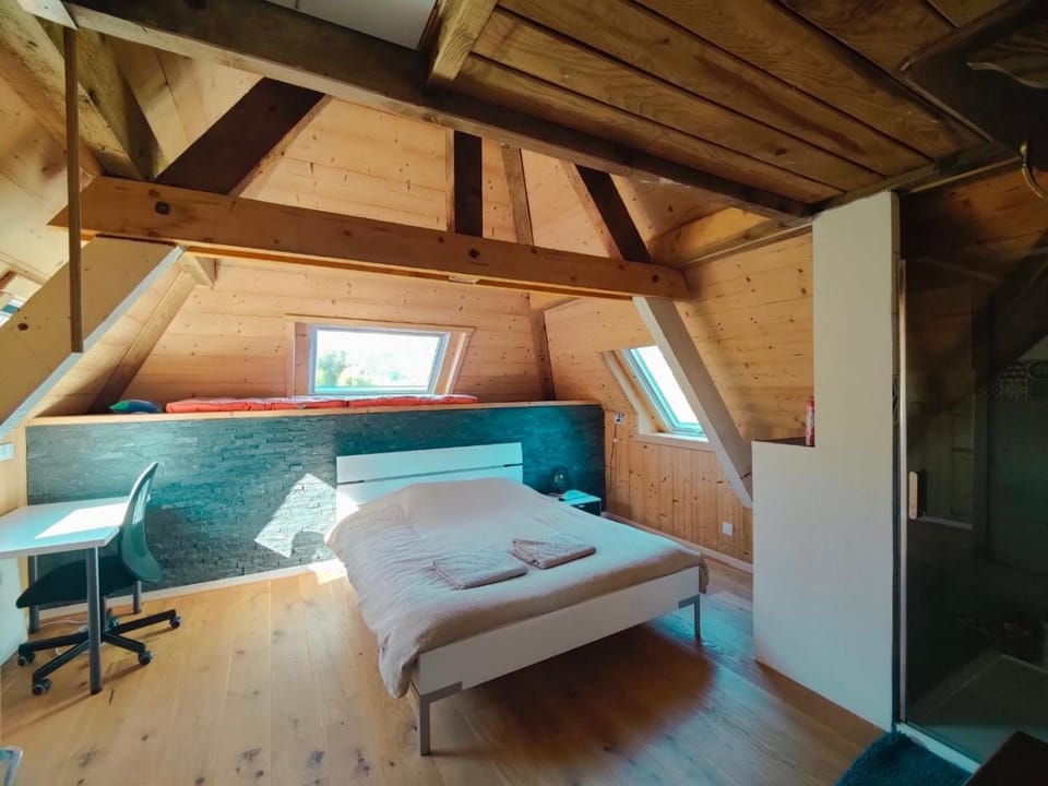 Shower, Bed, Photo of the whole room, Bedroom
