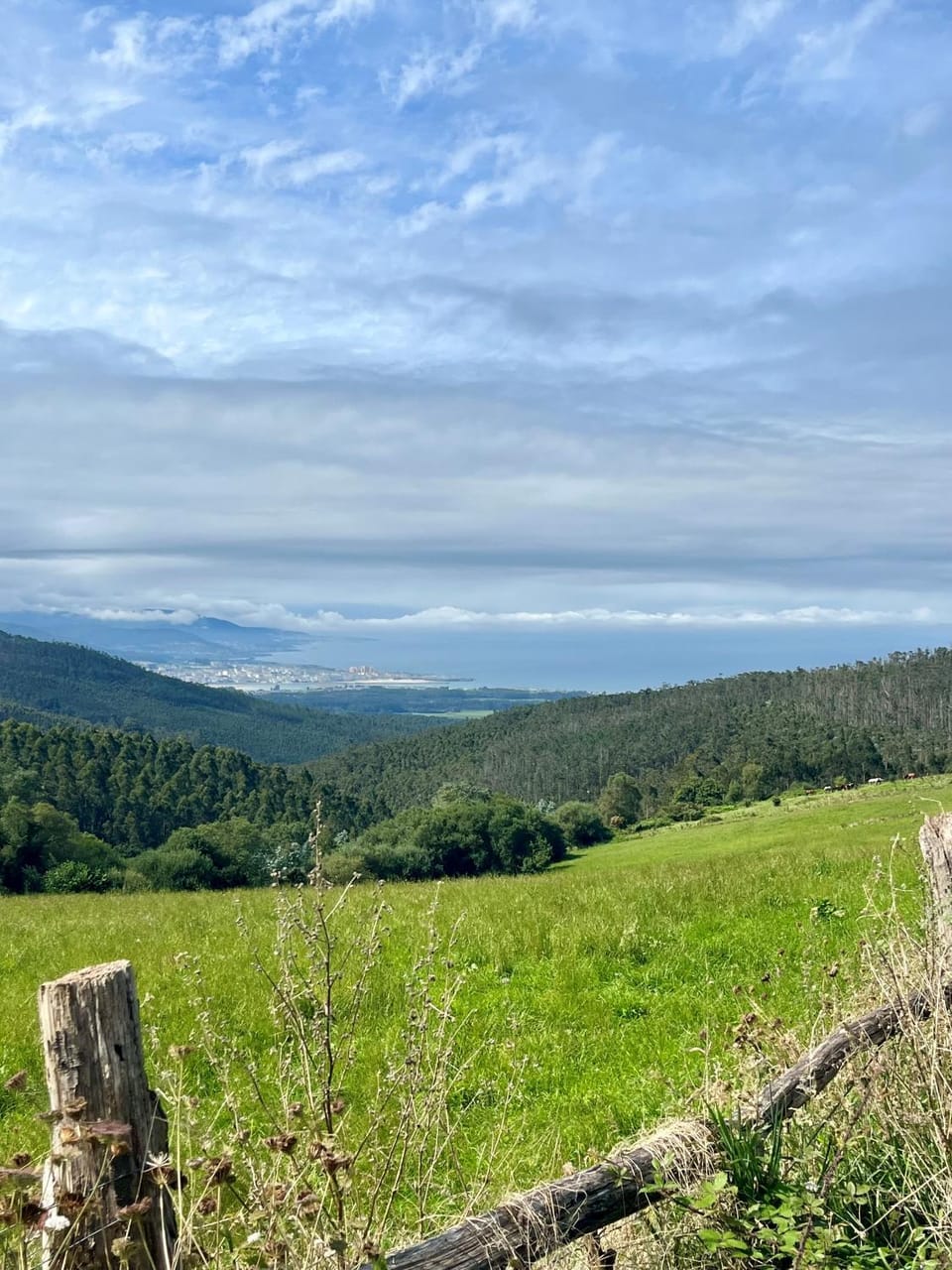 Natural landscape
