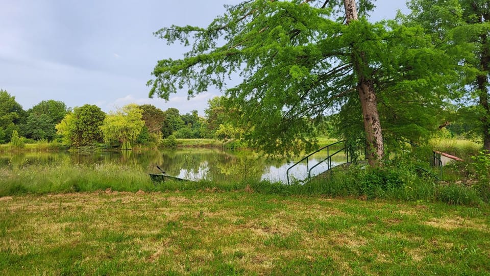 Day, Natural landscape, Fishing, Garden, Garden