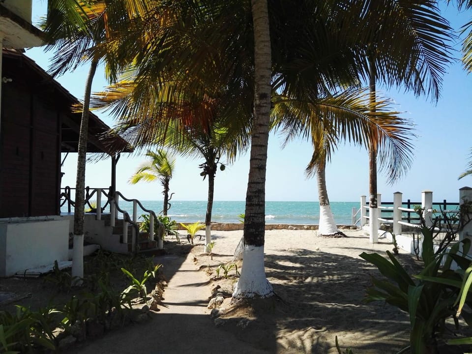 Natural landscape, Summer, Garden, Beach