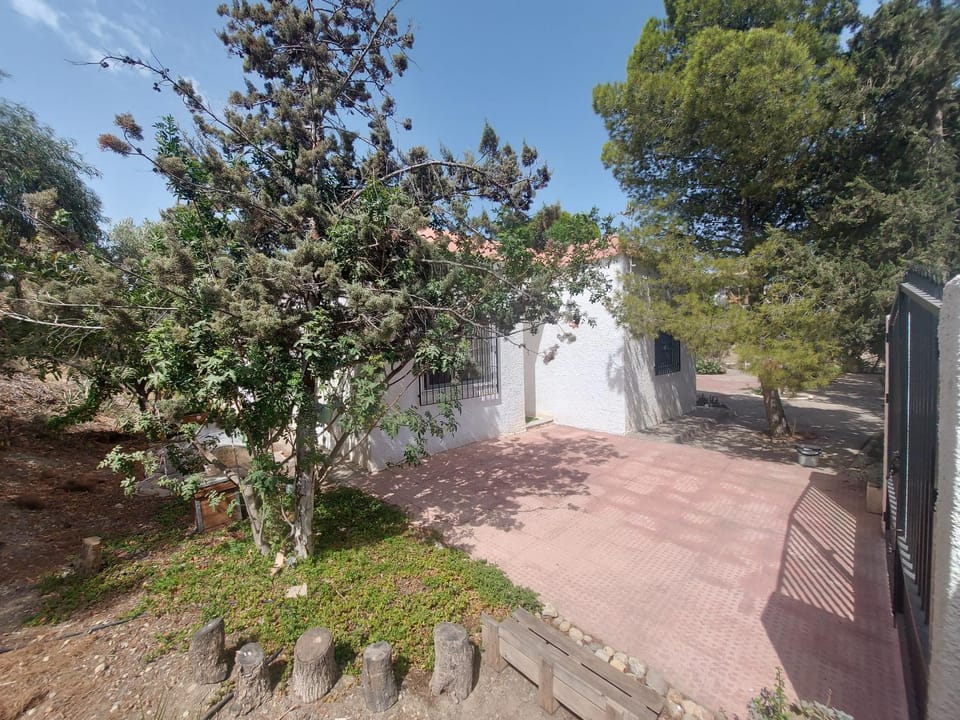 Property building, Garden, Garden view