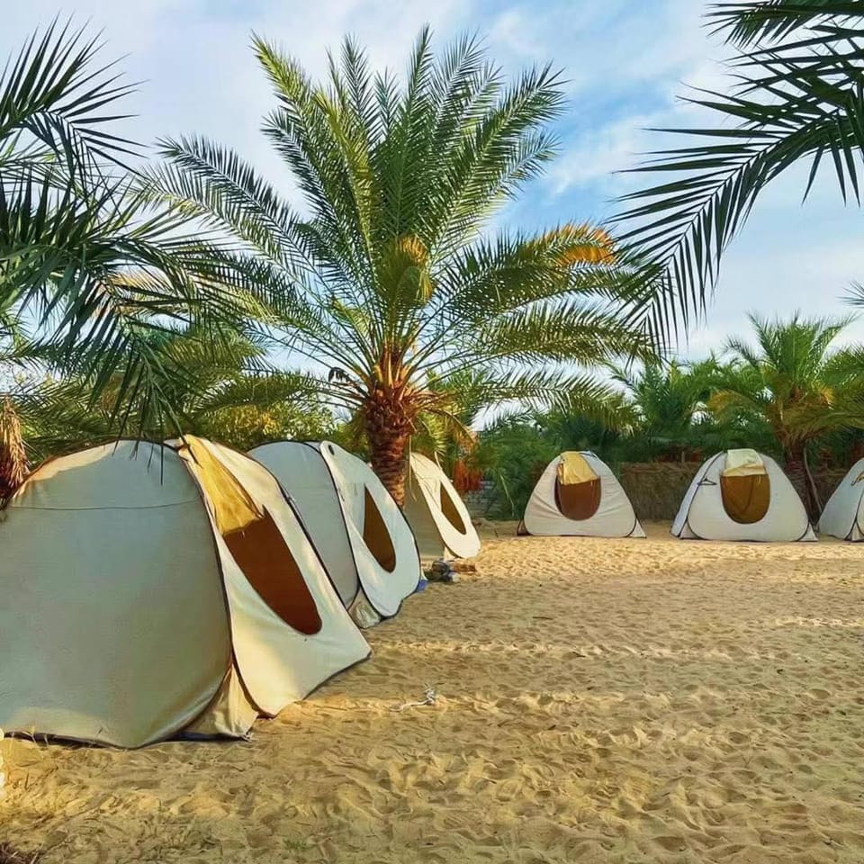 Monica Camp Siwa مونيكا كامب سيوة Campground/ 
RV Resort in Egypt