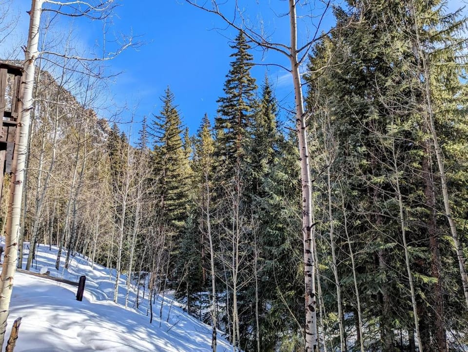 Trappers Crossing 8769 by SummitCove Lodging in Colorado House in Keystone