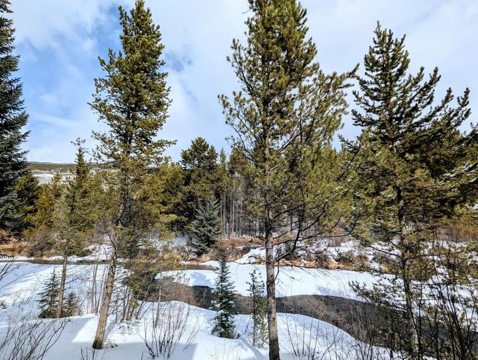 Key Condo 2952C by SummitCove Lodging in Colorado House in Keystone