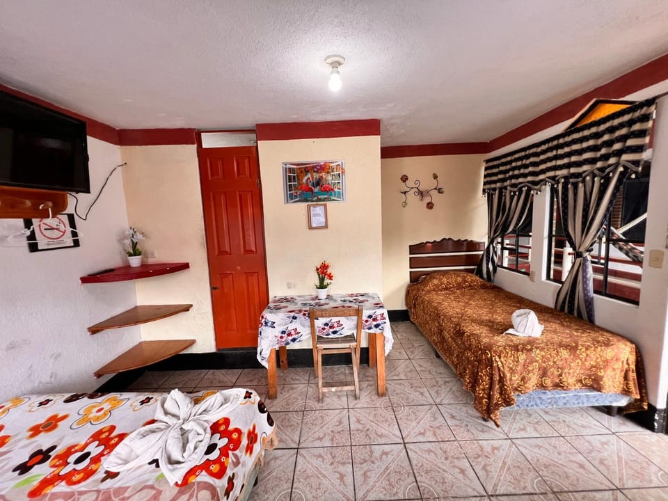 Bed, Photo of the whole room, towels