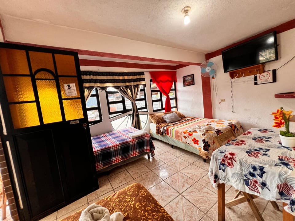 Bed, TV and multimedia, Photo of the whole room
