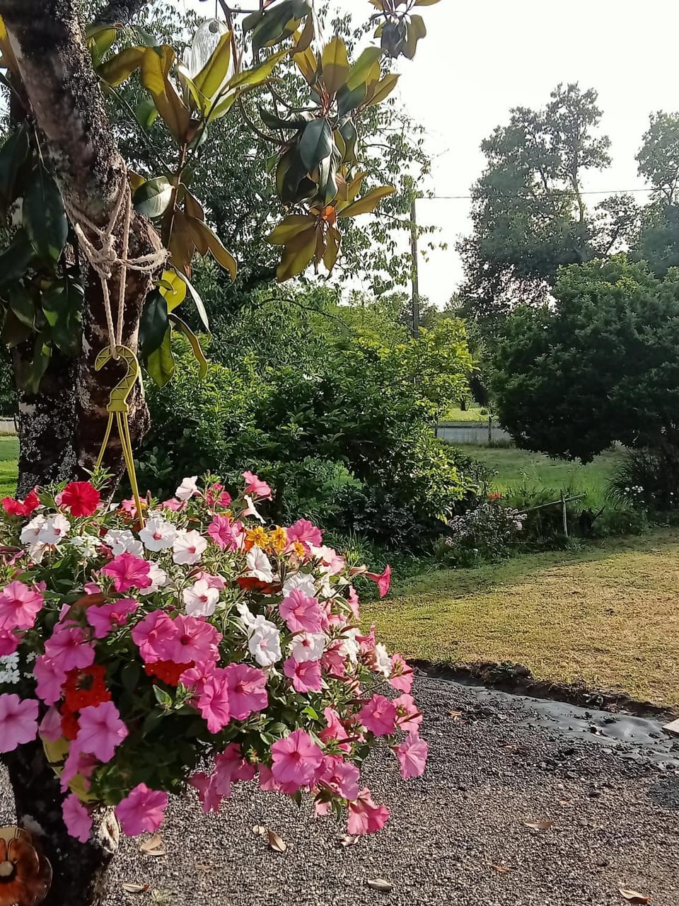 Day, Garden view