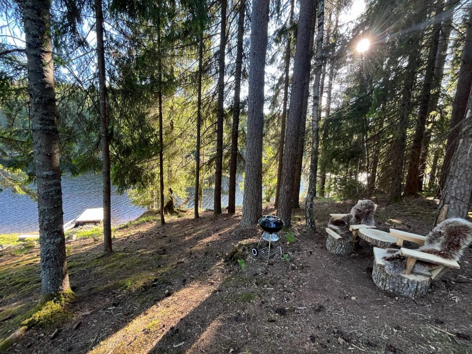 Natural landscape, BBQ facilities, Lake view