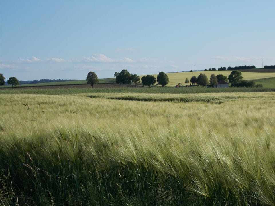 Natural landscape
