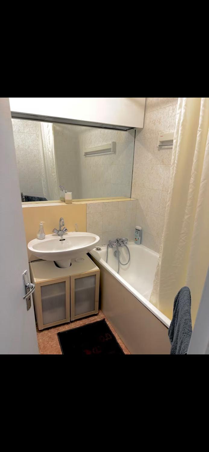 Beautiful Studio La Défense Apartment in Puteaux