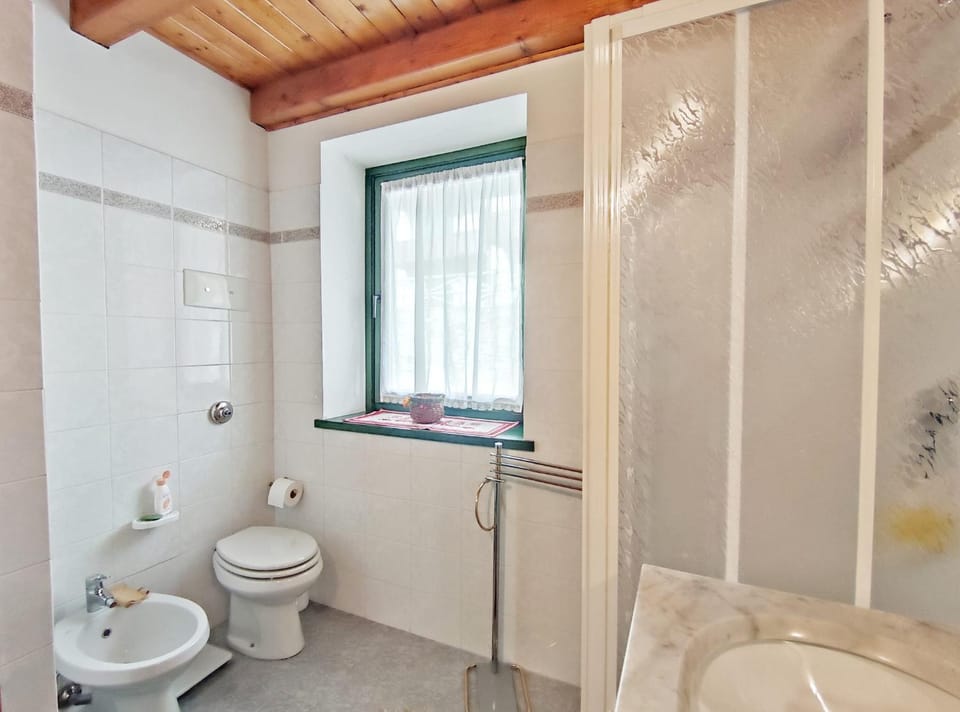 Shower, Toilet, Bathroom, Mountain view, bidet, hair dryier, heating, internet, washing machine