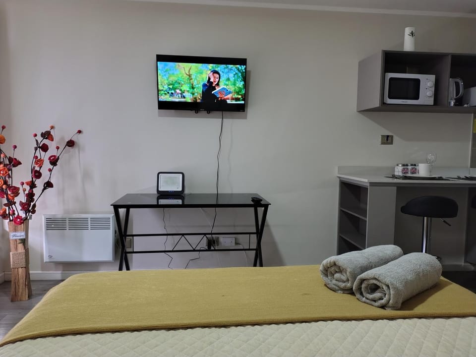 Home studio Apartment in Temuco
